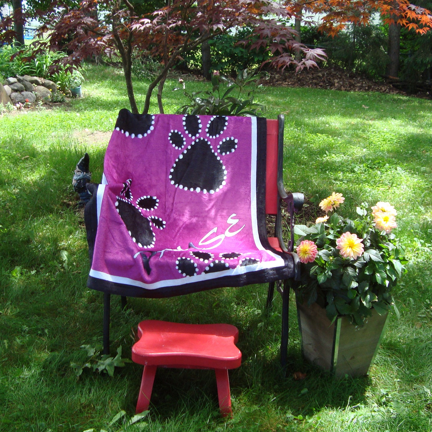 "Pause"  30" x 40" Velveteen Plush Child's Blanket